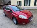Fiat Grande Punto Grande Punto 5p 1.2 Active 65cv Rouge - thumbnail 7