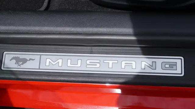 Ford Mustang GT 5.0 V8 Convertible Aut., NEUWERTIG, 1. BESITZ Ansicht 21