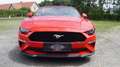 Ford Mustang GT 5.0 V8 Convertible Aut., NEUWERTIG, 1. BESITZ Rot - thumbnail 2