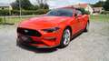 Ford Mustang GT 5.0 V8 Convertible Aut., NEUWERTIG, 1. BESITZ Rot - thumbnail 9