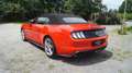 Ford Mustang GT 5.0 V8 Convertible Aut., NEUWERTIG, 1. BESITZ Rot - thumbnail 12