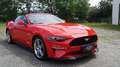 Ford Mustang GT 5.0 V8 Convertible Aut., NEUWERTIG, 1. BESITZ Rot - thumbnail 3