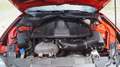 Ford Mustang GT 5.0 V8 Convertible Aut., NEUWERTIG, 1. BESITZ Rot - thumbnail 40