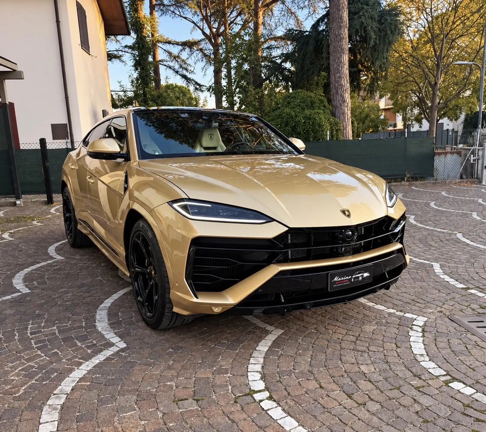 람보르기니 우루스 4.0 V8 2025 금색 사진 6