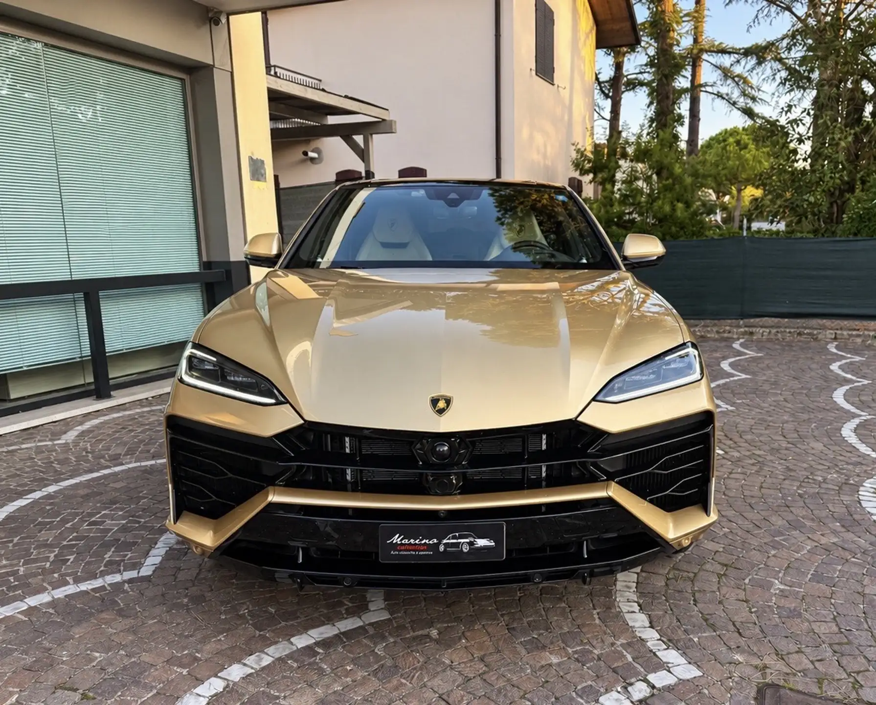 람보르기니 우루스 4.0 V8 2025 금색 사진 3