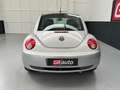 Volkswagen New Beetle 1.9 TDI 105CV Cabrio Lim. Red Edt PREZZO REALE Grigio - thumbnail 5