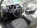 Fiat Punto Evo 5p 1.3 mjt Dynamic s&s 95cv Alb - thumbnail 5
