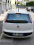 Fiat Punto Evo 5p 1.3 mjt Dynamic s&s 95cv Bianco - thumbnail 2