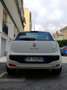 Fiat Punto Evo 5p 1.3 mjt Dynamic s&s 95cv Alb - thumbnail 10