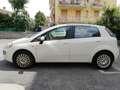 Fiat Punto Evo 5p 1.3 mjt Dynamic s&s 95cv Bianco - thumbnail 4