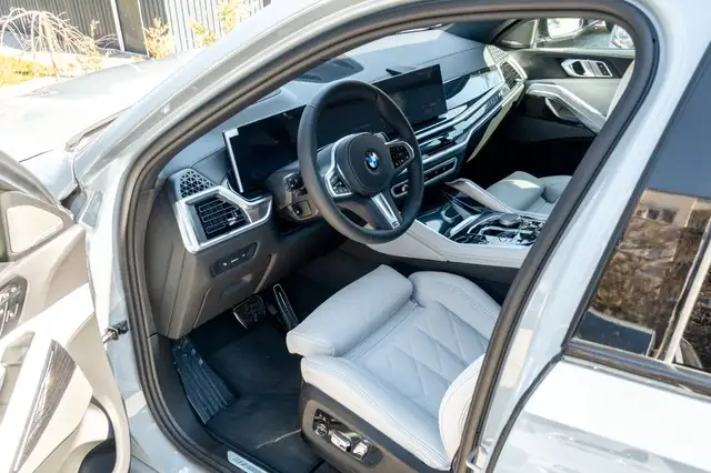 BMW X6 view 11