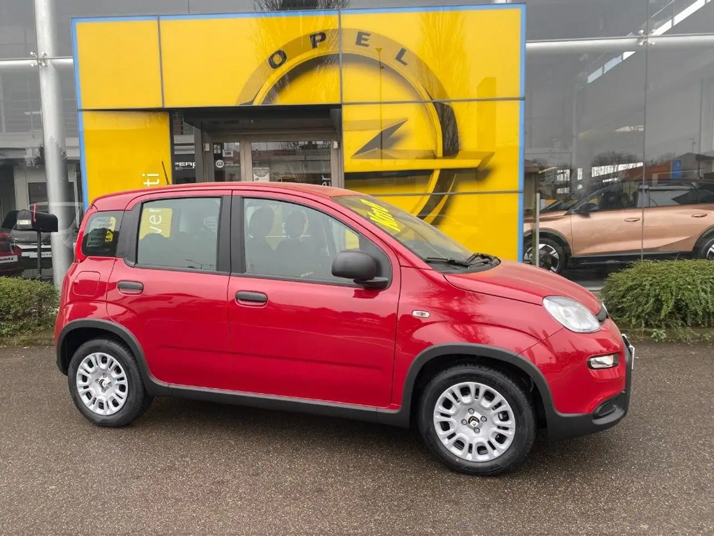 Fiat Panda 1.0 FireFly S&S Hybrid Pandina Rosso - 2