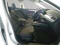 Ford Focus Turnier 1.5 EcoBlue Aut. TITANIUM EDITION Weiß - thumbnail 14