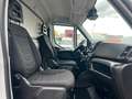 Iveco Daily 35s15 Tief-Kühl Koffer - 20C. *Garantie* bijela - thumbnail 10
