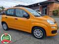 Fiat Panda 1.0 FireFly Hybrid *NEOPATENTATI*TAGLIANDI* Orange - thumbnail 4