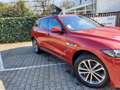 Jaguar F-Pace 25d AWD Aut. R-Sport MOT. ca.75000km gel. Rot - thumbnail 14
