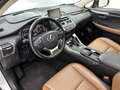 Lexus NX 300h AWD President Line Grijs - thumbnail 20