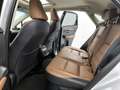 Lexus NX 300h AWD President Line Grijs - thumbnail 22