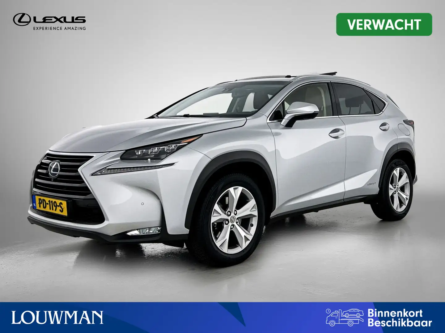 Lexus NX 300h AWD President Line Grijs - 1