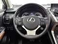 Lexus NX 300h AWD President Line Grijs - thumbnail 23