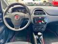 Fiat Punto Punto 5p 1.4 easypower Street Gpl E6* NEOPATENTATI Blu/Azzurro - thumbnail 11