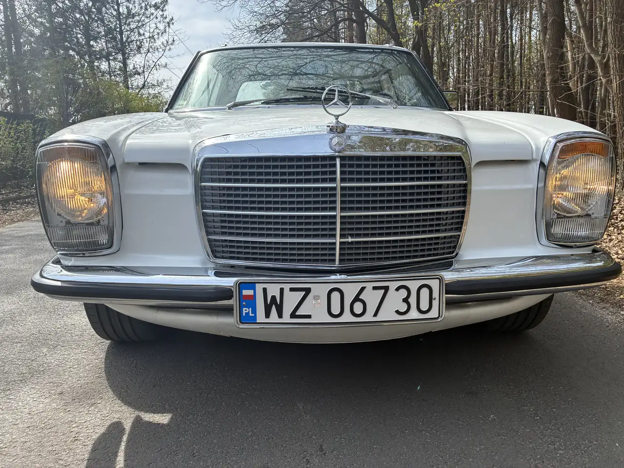 Mercedes-Benz W 114/115 Strich-Acht 280CE, foto 8