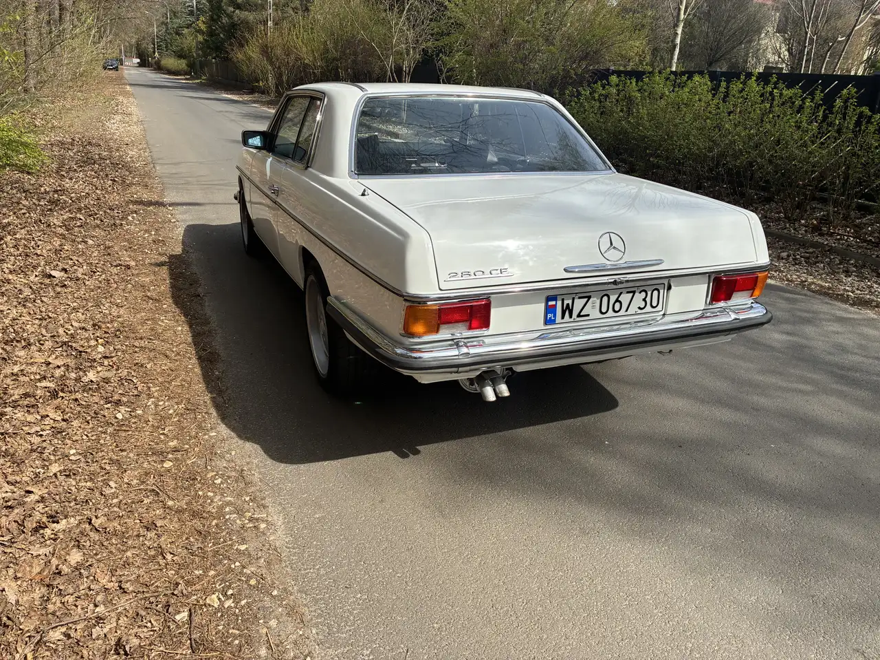 Mercedes-Benz W 114/115 Strich-Acht 280CE, foto 5