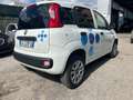 Fiat Panda 0.9 t.air t. natural power Easy 80cv Bianco - thumbnail 4
