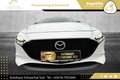 Mazda 3 Skyactiv-X GT+/SO/PR/TE // VOLLE HÜTTE // Weiß - thumbnail 14