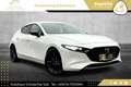 Mazda 3 Skyactiv-X GT+/SO/PR/TE // VOLLE HÜTTE // Weiß - thumbnail 16