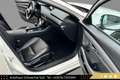 Mazda 3 Skyactiv-X GT+/SO/PR/TE // VOLLE HÜTTE // Weiß - thumbnail 15