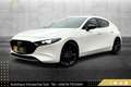 Mazda 3 Skyactiv-X GT+/SO/PR/TE // VOLLE HÜTTE // Weiß - thumbnail 12
