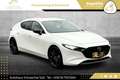 Mazda 3 Skyactiv-X GT+/SO/PR/TE // VOLLE HÜTTE // Weiß - thumbnail 19