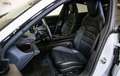 Porsche Taycan Taycan Bianco - thumbnail 15