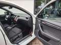 Skoda Octavia Combi RS 2.0 TFSI Challenge Bianco - thumbnail 10