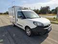 Fiat Doblo DOBLO' WORK-UP 1.6 MJT 105CV CASSA FRIGO FRCX-20 Blanc - thumbnail 3