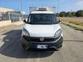 Fiat Doblo DOBLO' WORK-UP 1.6 MJT 105CV CASSA FRIGO FRCX-20 Blanc - thumbnail 2