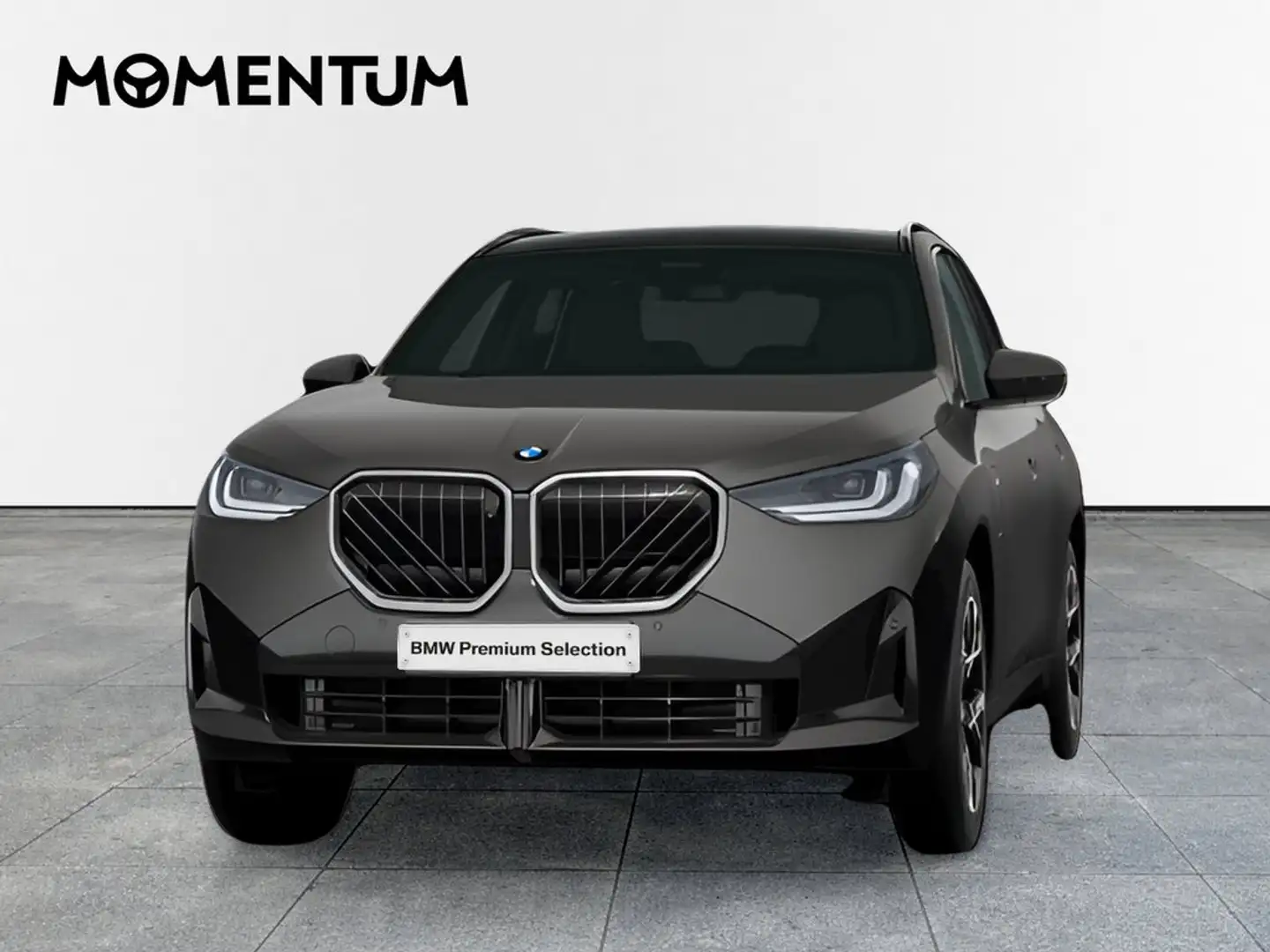 BMW X3 xDrive 30e Gris - 1