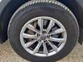 Audi Q5 Q5 35 TDI quattro S tronic Business FINO A 3 ANNI Wit - thumbnail 17