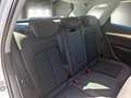 Audi Q5 Q5 35 TDI quattro S tronic Business FINO A 3 ANNI Wit - thumbnail 15