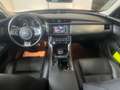 Jaguar XF Pure Schwarz - thumbnail 18