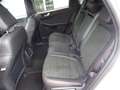 Ford Kuga 2.5 Plug-In Hybrid ST-Line X +LED+Kamera+20"+ACC Weiß - thumbnail 9