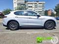 Alfa Romeo Stelvio 2.2 Turbodiesel 160 CV AT8 RWD Super Grijs - thumbnail 10