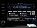Skoda Kodiaq 2.0TDI 110KW DSG LED R-KAM ACC VC PDC LM Gri - thumbnail 16