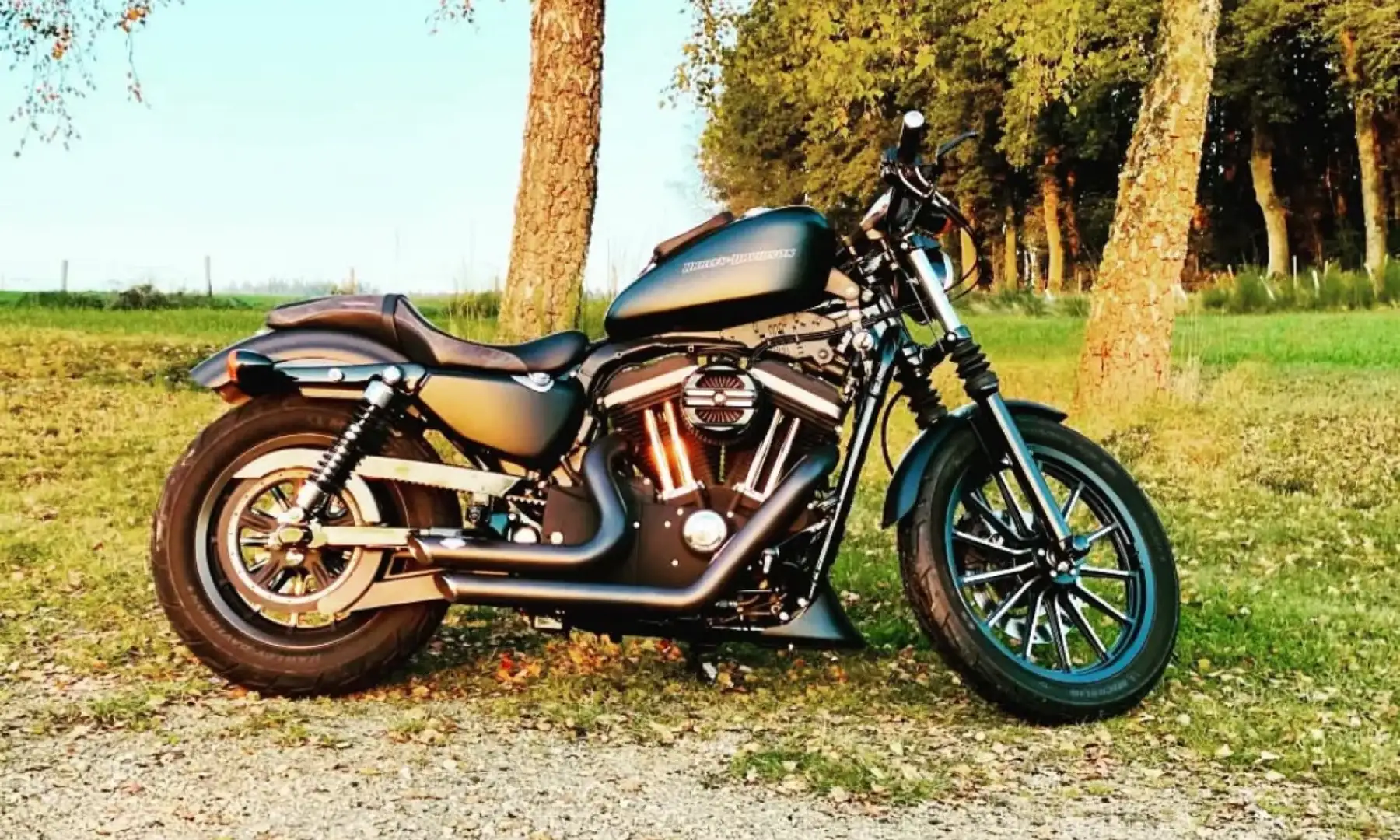 Harley-Davidson Iron 883 - 1