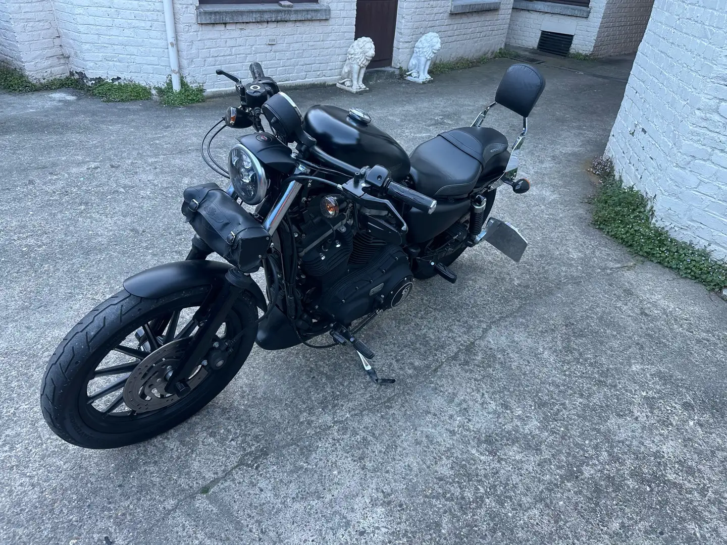 Harley-Davidson Iron 883 - 2