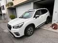 Subaru Forester Forester V 2020 2.0i e-boxer Free lineartronic Bianco - thumbnail 8