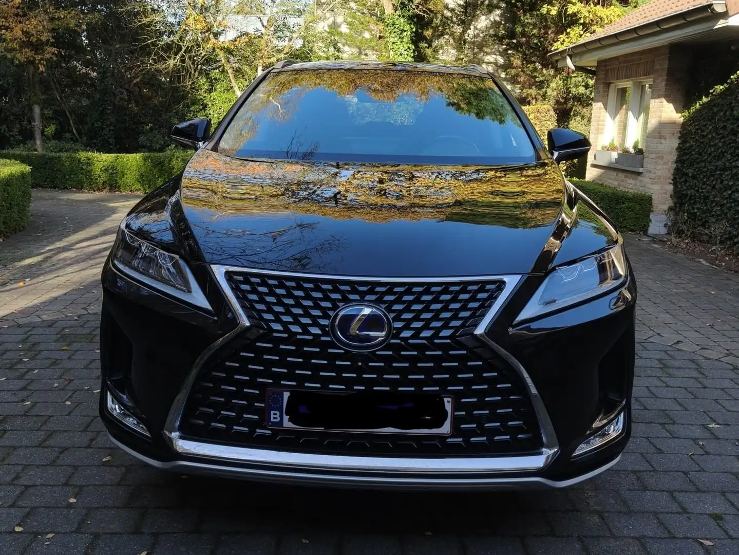 Lexus RX 450h RX 450h (hybrid, Luxury Line) Privilege Nero - 2