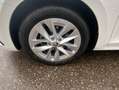 Skoda Octavia Combi 2.0 TDI DSG Style NAVI-COLUMBUS+ST Weiß - thumbnail 10