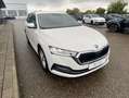 Skoda Octavia Combi 2.0 TDI DSG Style NAVI-COLUMBUS+ST Weiß - thumbnail 6